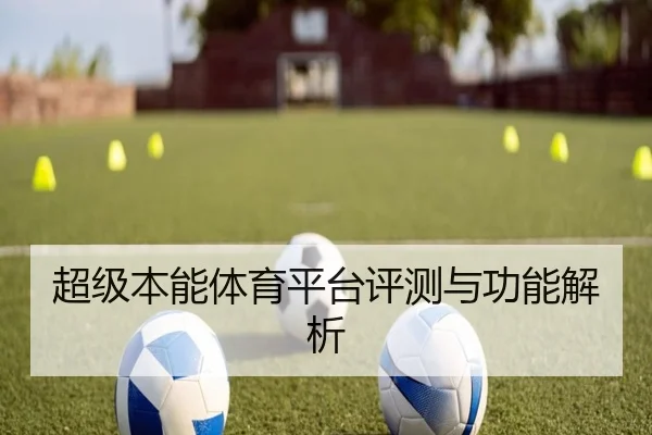 超级本能体育平台评测与功能解析