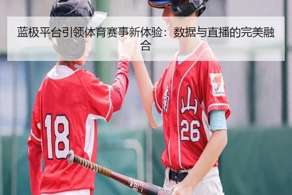 蓝极平台引领体育赛事新体验：数据与直播的完美融合